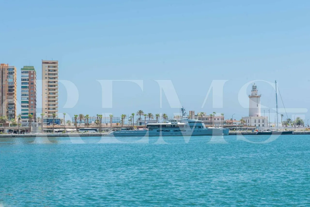 Penthouse Suite With Rooftop In The Heart Of Malaga By Rems Apartment